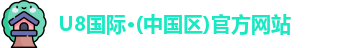 U8国际